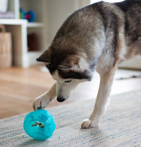 Totally Pooched Stuff'n Wobble Ball Teal 5" x 3.5"